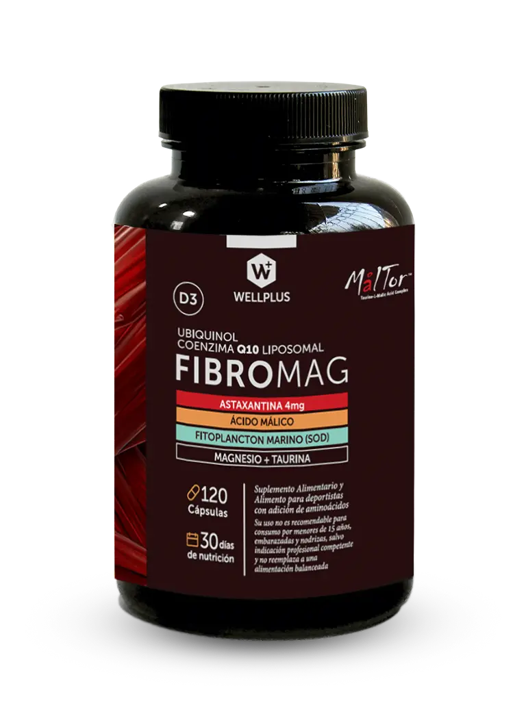 Fibromag 120 cápsulas