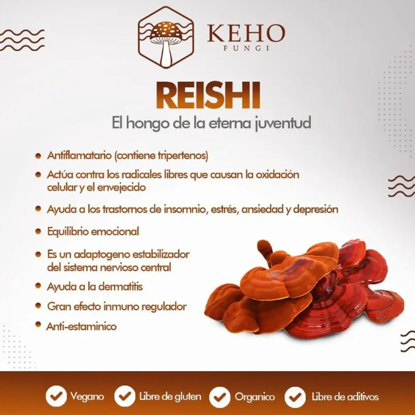 Reishi Doble Extracto en Gotas 3:1 30 ml