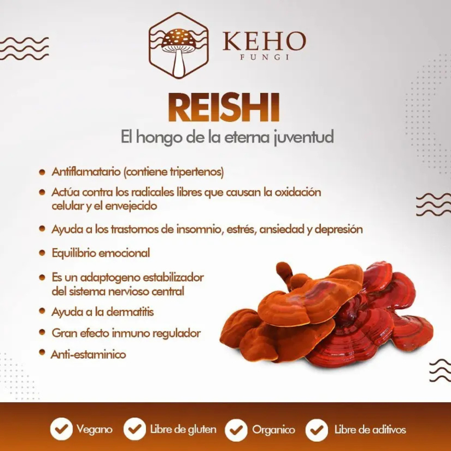 Reishi Concentrado en Cápsulas