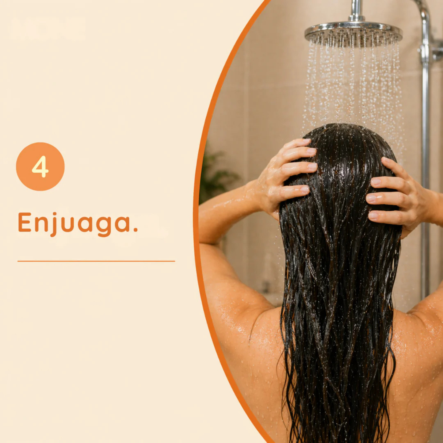 Shampoo Concentrado en Polvo 60 g