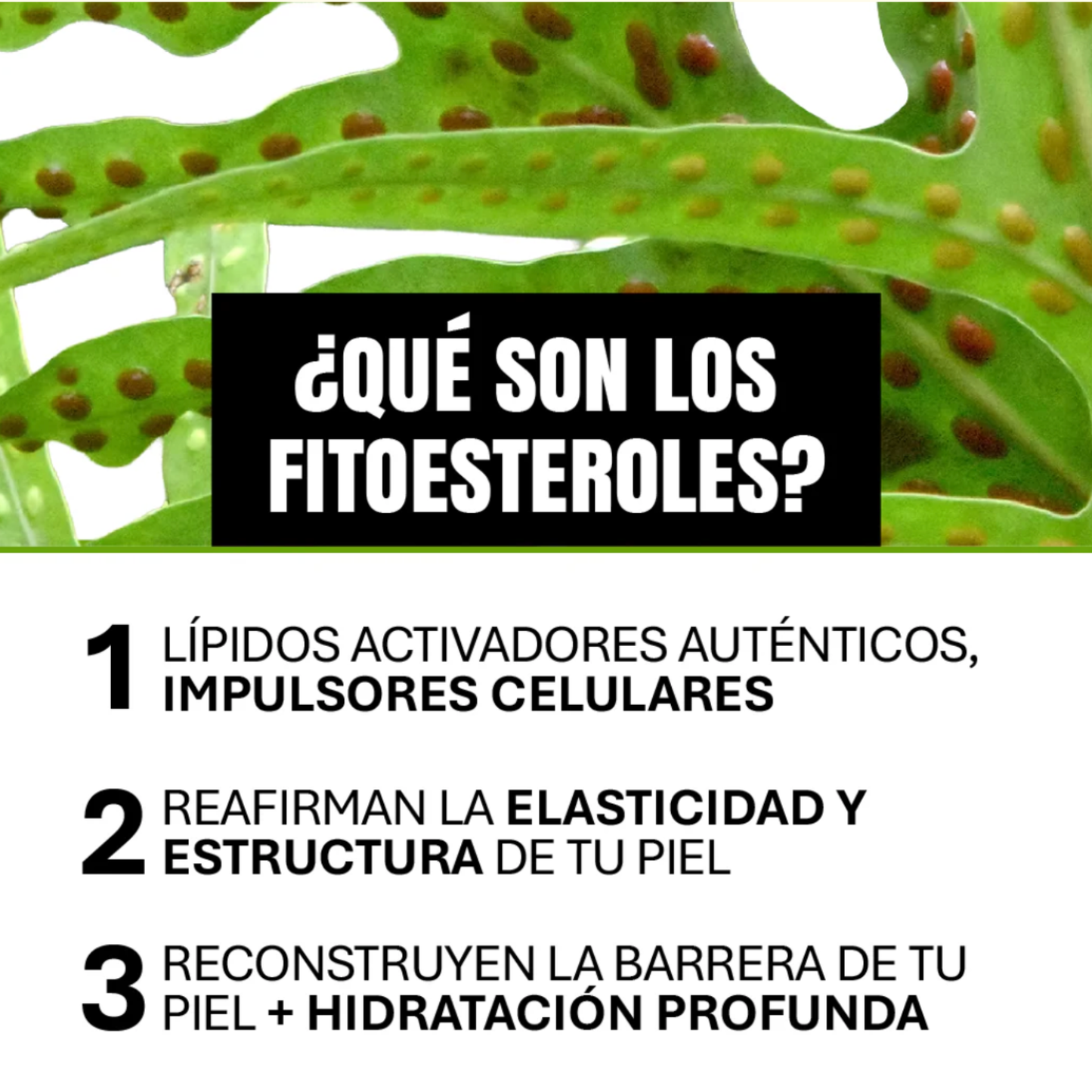 Bounce Crema Antioxidante Microcápsulas 50 ml