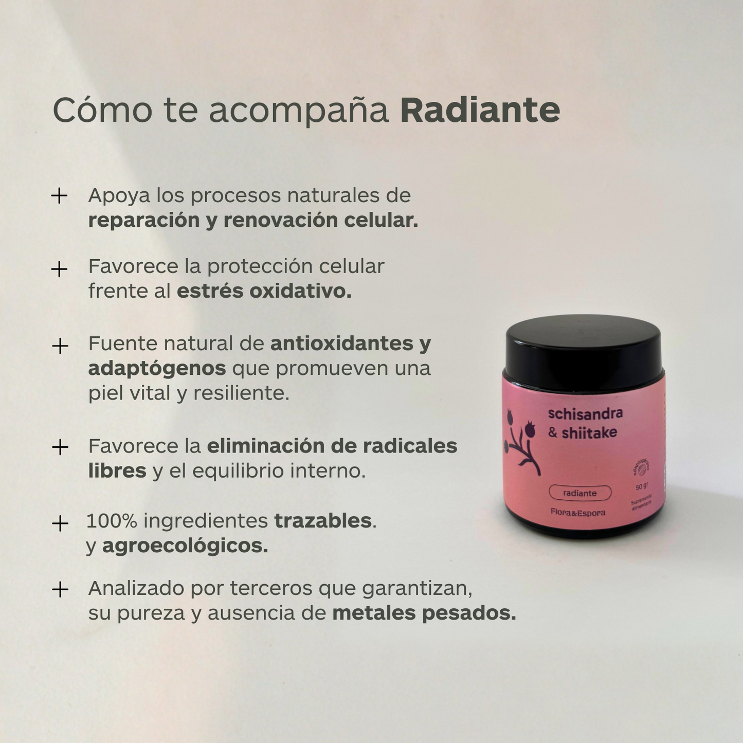 Schisandra & Shiitake 50 gr