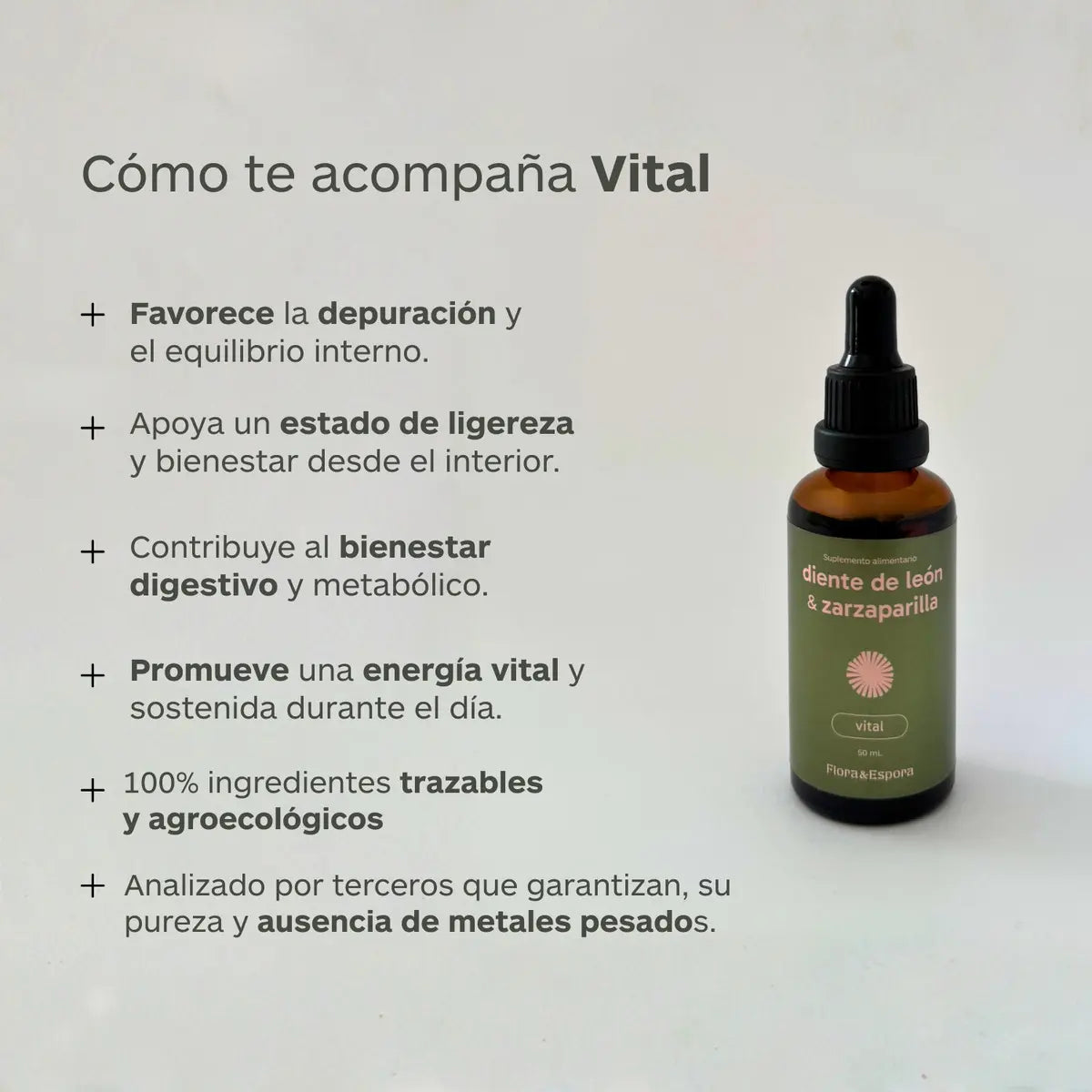 Diente de Leon & Zarzaparilla 50 ml